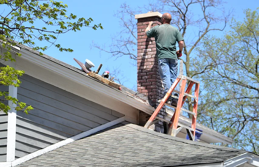 Chimney & Fireplace Inspections Services in The Woodlands, TX